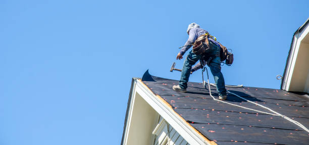 Best Roof Gutter Cleaning  in Morgan City, LA